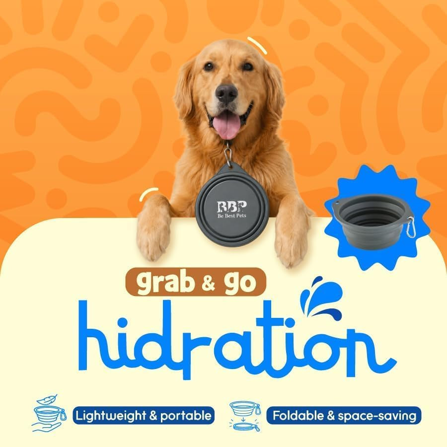 2-Pack 28oz Collapsible Dog Travel Bowls with Carabiners