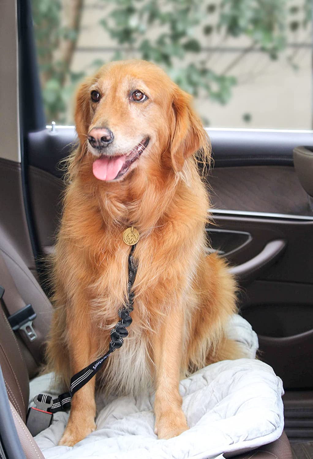 Adjustable Dog Car Seat Belt with Bungee Buffer – 2 Pack